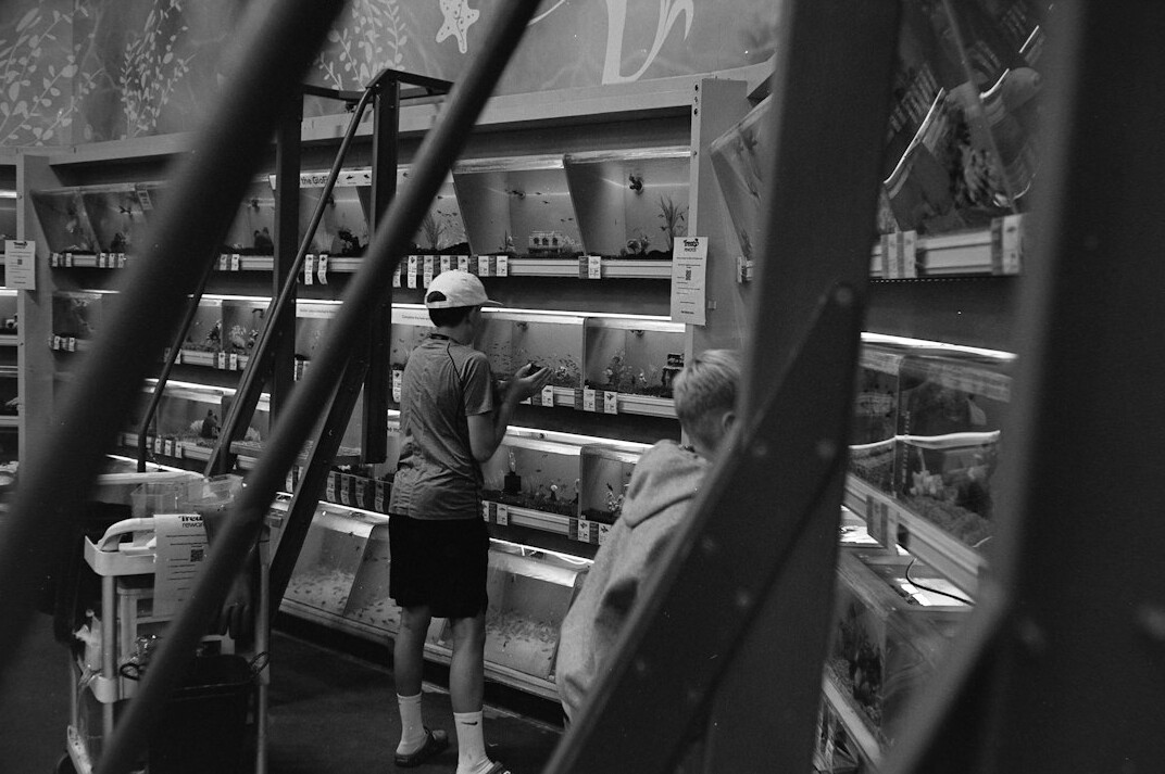 store security guard observing shopper